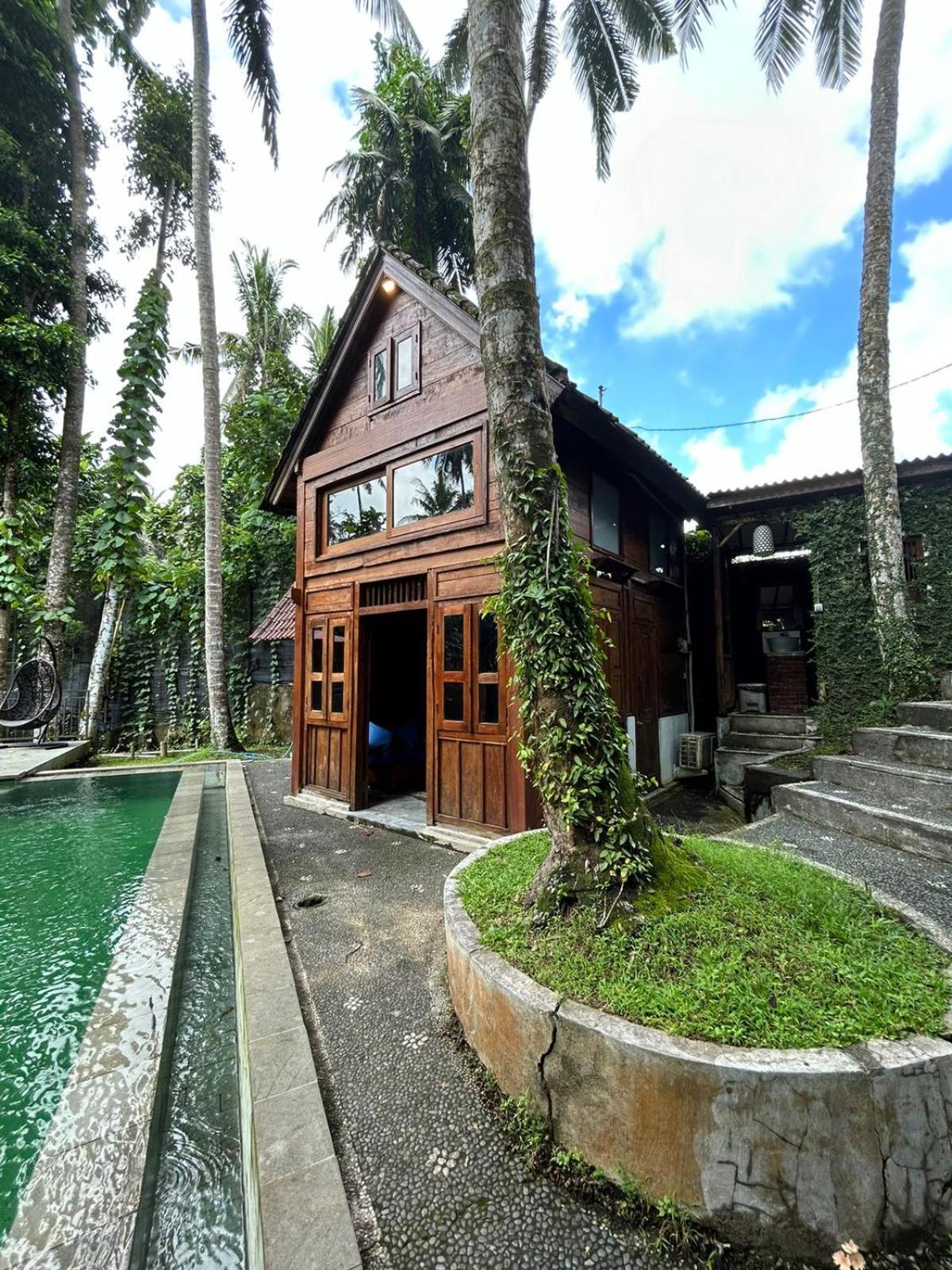 Tirta Padi Villa Ubud Extérieur photo